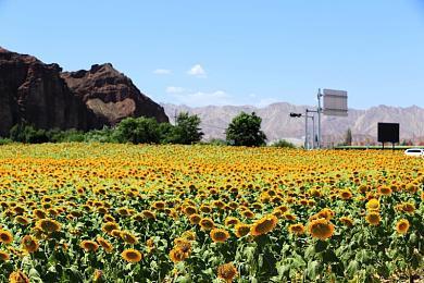 恐怖新作《采石场惊魂》上架Steam 预售价199元